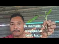 Download Lagu October 6, 2025,Sam test kagipa dikeko mesokata video salgija nibo