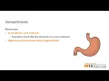 Dairy Skillathon Study Series Ruminant Digestive System