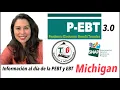 Informacion de PEBT y EBT MICHIGAN