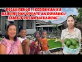 Lagu PECAH REKOR‼️KESIBUKAN KU HARI INI DAN UPDATE AN RUMAHKU LANJUT RUJAK AN BARENG\