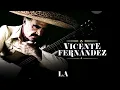 Vicente Fernández - La Diferencia (Letra Oficial)