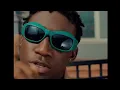 Shallipopi - Elon musk