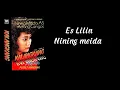 Download Lagu Nining Meida - Es Lilin (Audio HD)
