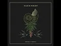 Back From the Black Forest (Original Mix)