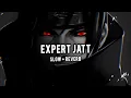 Expert Jatt |Slowed + Reverb