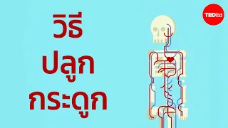  ทำไมกระดูกที่สร้างขึ้นนอกกายจึงอาจหักได้เมื่อนำไปใช้งาน 