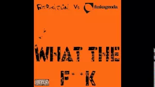 Download Fatboy Slim vs. Funk Agenda - What The F**k MP3