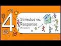 Stimulus vs Response Generalization B-14