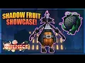 Goku Support Style Shadow Fruit Showcase AOPG