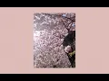 Download Lagu 🌸 cherry blossom 🌸 || shady moon || slowed
