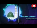 Download Lagu Sholawat nabi ya habibi ya muhammad ya arusal khofikoini