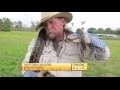The Python Challenge