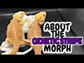Bearded Dragon Genetics The GENETIC STRIPE Morph