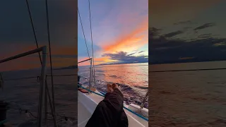 Le plus beau dans tout ça, ce sera toujours ce que la nature a à nous offrir 🌊☀️⛵️