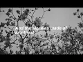 Violet by Hole -