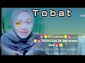 Download Lagu TOBAT Tayub 🦃 Karaoke Bareng Citatoee