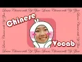Learn Chinese with Yi Zhao: Beginner Mandarin Chinese Vocabulary in 3 Hours Based on HSK1 \u0026 HSK2