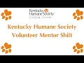 Volunteer Mentor Shift