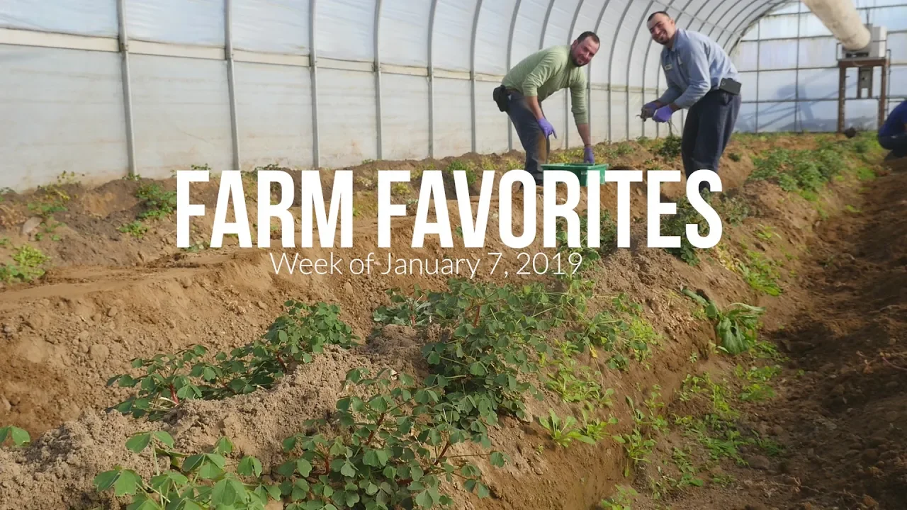 Farm Favorites    Week of Jan.  7