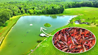 Adding 3,000 Live Crawfish to the 5 Acre Pond!