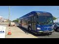 Ride On Pace Bus 2020 New Flyer XD40 20462 On Rt 302 to