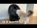 Litter Robot 4 Pros Cons 2 years later