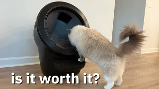 Litter Robot 4 Pros Cons 2 years later