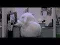 Need some sleep Gif