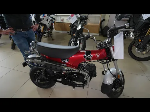 Download MP3 Wohnmobil Motorrad 2024 Die kleinste 125er der Welt Honda Dax 125 2024. Ohne Motorrad FS fahren!
