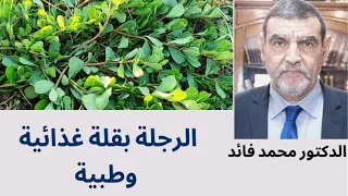 الدكتور محمد فائد من أجل ثقافة علاجية بقلة الرجلة لا يعلم الناس أهميتها 