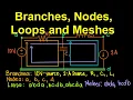 Branches Nodes Loops and Meshes English