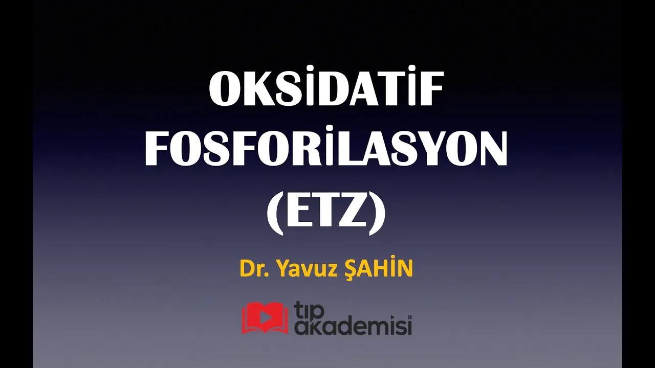 tipakademisi.com Fakülte Biyokimya Video Paketi - Elektron Transport Zinciri (ETZ)