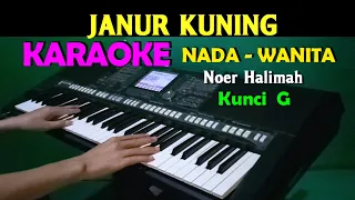 janur kuning noer halimah karaoke nada wanita hd