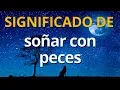 Que significa sonar con peces Interpretacion de los Suenos