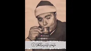 الشيخ مصطفى اسماعيل مسلمات مؤمنات قانتات تائبات عابدات سائحات ثيبات وأبكارا 