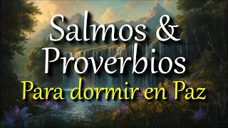 Salmos & Proverbios de la Biblia para dormir en Paz | Psalms & Proverbs audio Bible in Spanish