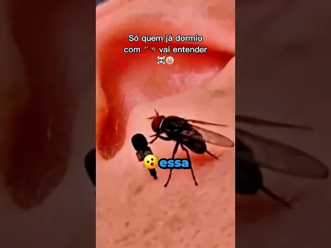 Rafael foi mal? 🫡☠️😪