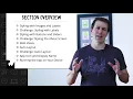 Styling the App Introduction - Beginning Programming with iOS 11 Swift 4 and Xcode 9