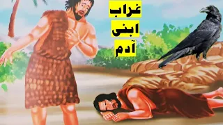 قصص الحيوان فى القرآن غراب ابنى آدم عليه السلام الغراب المعلم  قصص الحيوان فى القرآن غراب ابنى آدم عليه السلام الغراب المعلم