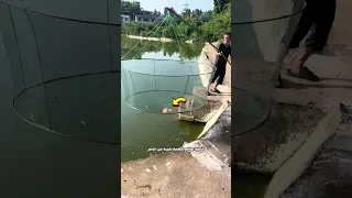 حيلة بسيطة لصيد الأسماك 