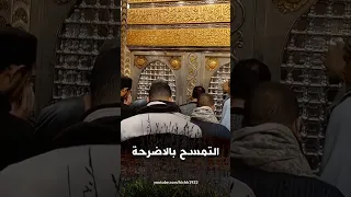 شاهد دجل الصوفية وطلب المدد من السيد البدوي والحسين مع الشيخ كشك  شاهد دجل الصوفية وطلب المدد من السيد البدوي والحسين مع الشيخ كشك
