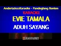Download Lagu KARAOKE - ADUH SAYANG - EVIE TAMALA
