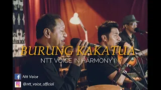 Download Lagu Burung KakaTua  Remake by NTT VOICE 2020 MP3