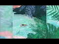 Attom - Lagoon - Attom