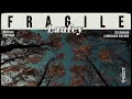 Download Lagu Laufey - Fragile [ LYRICS terjemahan Indonesia ]