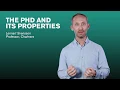 The P and its Properties