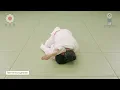 縦四方固 /  Tate-shiho-gatame