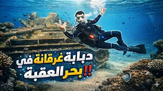 غصت بجانب دبابة غرقانة في بحر العقبة… واللي شفته حواليها  مش طبيعي‼️🔥