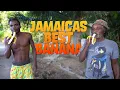 Download Lagu Chucky's Favourite Bananas | Travel Mishap ran out of Gas