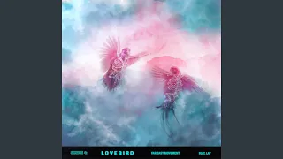 Lovebird Feat Lay 